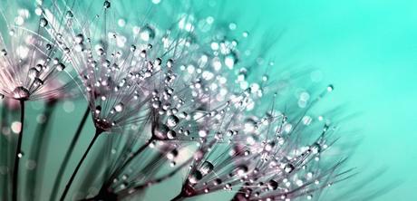 Reivindico el llanto