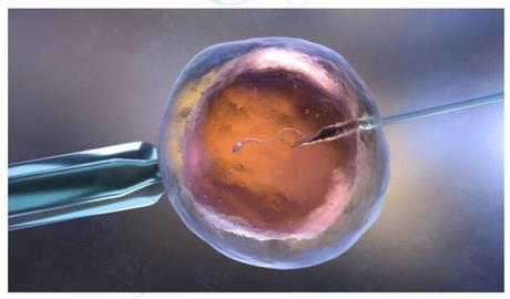 La fecundación in Vitro en España es un referente para Europa