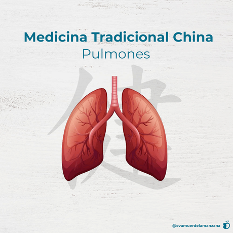 Fundamentos de la Medicina Tradicional China, parte 1