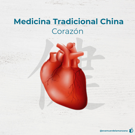 Fundamentos de la Medicina Tradicional China, parte 1