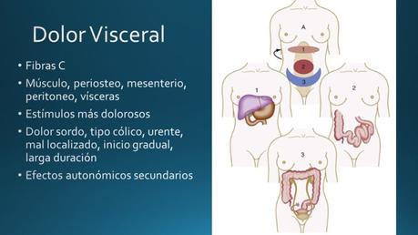 Abdomen Agudo