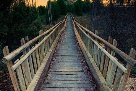 El puente de madera que nos transporta - Fotografía