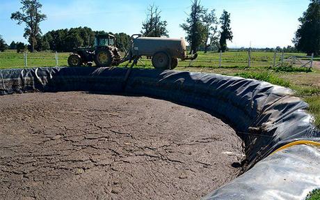 Crónicas del Campo Santo, Crónica Nº 25 Crónicas del Campo Santo, Crónica Nº 25