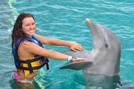 Actividades en Cancún nado con delfines cancun