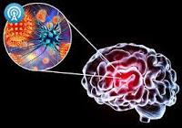 Posible Tratamiento para la encefalitis transmitida por garrapatas Posible Tratamiento para la encefalitis transmitida por garrapatas