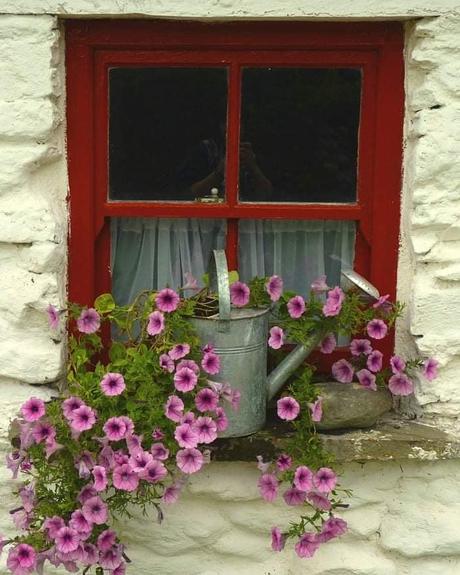 - Ventanas en Primavera.