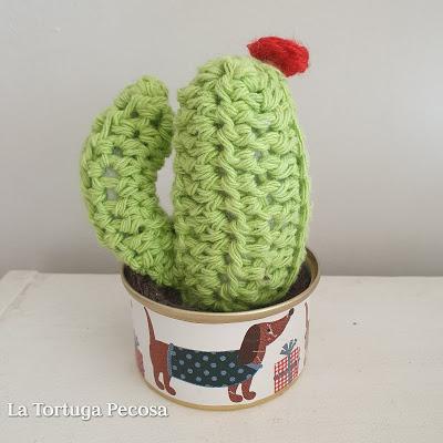 CACTUS THIRTY-FOUR CACTUS THIRTY-FOUR