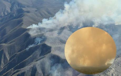 Mantienen combate de incendio forestal en Guadalcazar