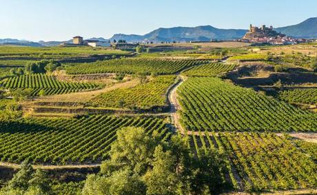 Entre Viñas y Monasterios, en Ruta por La Rioja Thriller entre viñedos en la Rioja Alta | El Correo