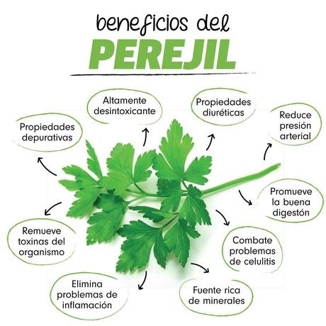 Perejil: 7 Propiedades benéficas