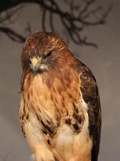 Ruta #3 Tamiami - 8.5 Square Mile Area - West Kendall