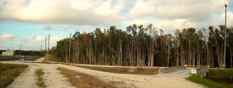 Ruta #3 Tamiami - 8.5 Square Mile Area - West Kendall