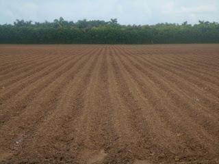 Ruta #3 Tamiami - 8.5 Square Mile Area - West Kendall