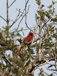 Ruta #3 Tamiami - 8.5 Square Mile Area - West Kendall