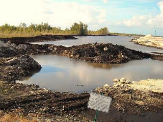 Ruta #3 Tamiami - 8.5 Square Mile Area - West Kendall