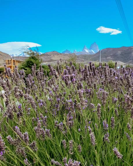 Un viaje a la Patagonia remota