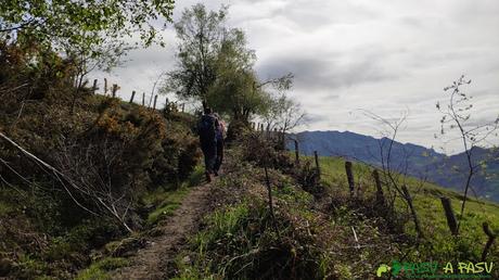 Camino a la Sierra de Peña Mayor desde la Faya los Llobos