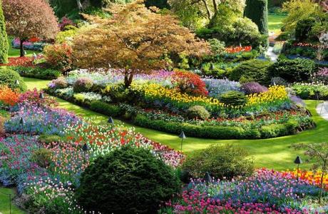 Los mejores jardines del mundo