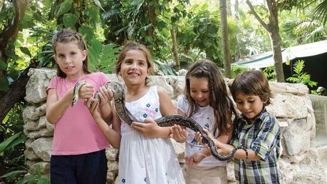 Parques en Cancún para niños Crococun Zoo parque para niños cancun y riviera maya