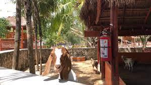 Parques en Cancún para niños La selva Interactiva