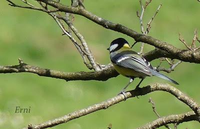 11º ANIVERSARIO... CON NUEVO PROYECTO EN EL HORIZONTE