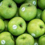 Además de trabajar como autónomo en una agencia o de... manzanas idealista