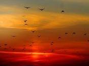 UCB1-Tuned para problema Bandido Multibrazo (Multi-Armed Bandit)