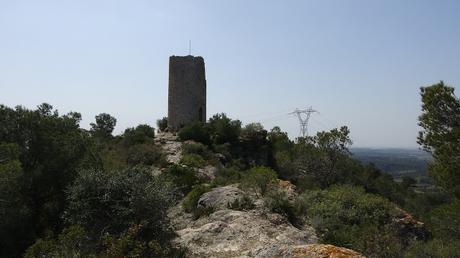 Ruta circular a la Torre de Montferri | Alt Camp (Tarragona) Ruta circular a la Torre de Montferri | Alt Camp (Tarragona)