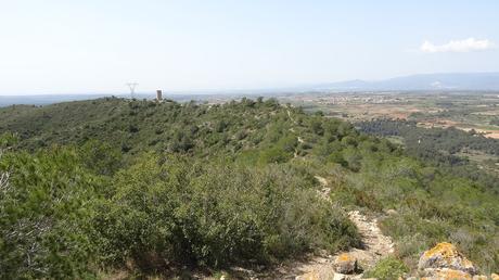 Ruta circular a la Torre de Montferri | Alt Camp (Tarragona) Ruta circular a la Torre de Montferri | Alt Camp (Tarragona)