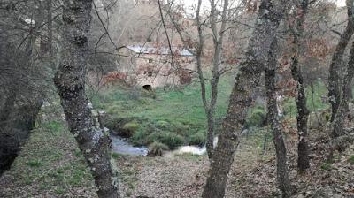 Arquitectura tradicional alistana (El molino)