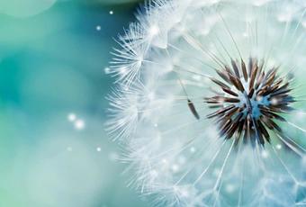 Top Walpaper Zip - Download 2000 4k Wallpapers 3840x2160 Resolution Themefoxx / Join us in the ...