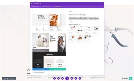 Mejores Temas WordPress para Peluquería Canina y Cuidado de Mascotas