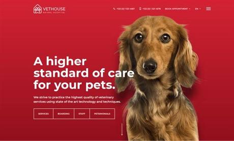 Mejores Temas WordPress para Peluquería Canina y Cuidado de Mascotas