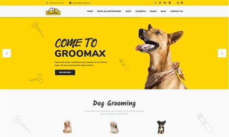 Mejores Temas WordPress para Peluquería Canina y Cuidado de Mascotas