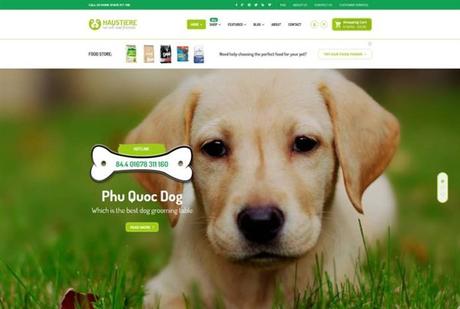 Mejores Temas WordPress para Peluquería Canina y Cuidado de Mascotas