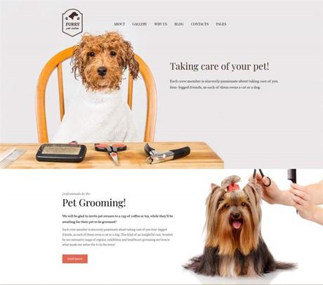 Mejores Temas WordPress para Peluquería Canina y Cuidado de Mascotas