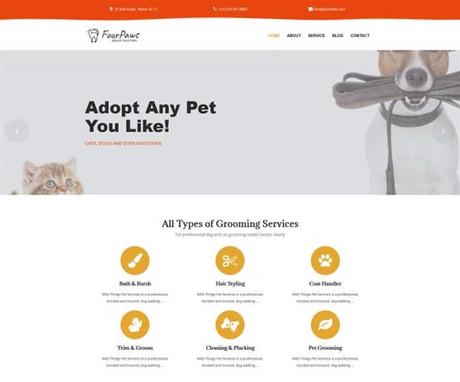 Mejores Temas WordPress para Peluquería Canina y Cuidado de Mascotas