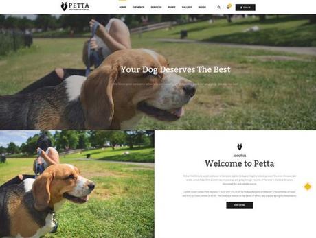 Mejores Temas WordPress para Peluquería Canina y Cuidado de Mascotas