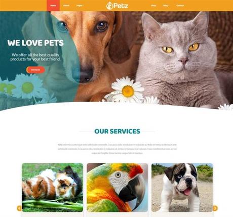 Mejores Temas WordPress para Peluquería Canina y Cuidado de Mascotas