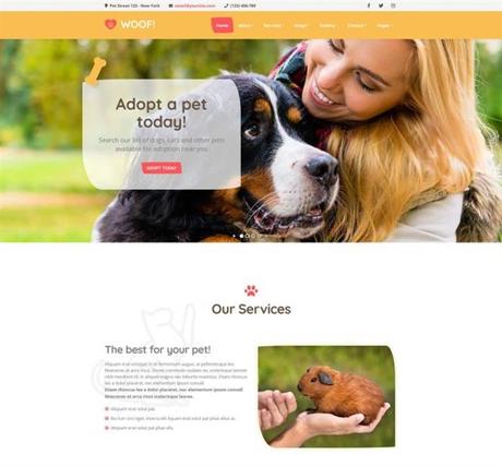 Mejores Temas WordPress para Peluquería Canina y Cuidado de Mascotas