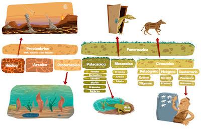 Aprendiendo paleontología con las ilustraciones de Joel Salinas