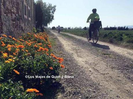 Delta del Llobregat en bicicleta