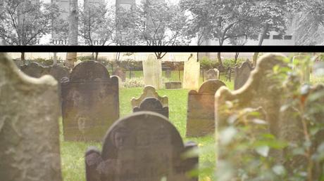 Visions du Réel 2021 - Parte 3: El presente como espejo del pasado Visions du Réel 2021 - Parte 3: El presente como espejo del pasado