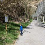 Montanejos, 5 planes para disfrutar de la naturaleza