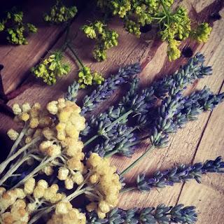 La Ruda (variedades)