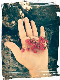 Solanum dulcamara...