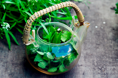 Primero, conocer. Después, conocer. Y más tarde, conocer también..