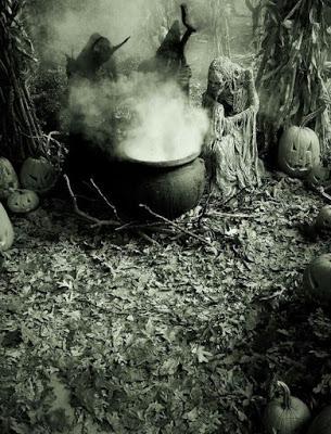 Protegiendo nuestro legado herbal...