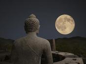 Impermanencia, poema Dogen Zenji