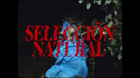 [Vídeo Telúrico] Chica Sobresalto - Selección Natural